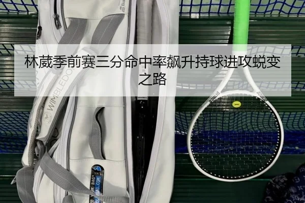 林葳季前赛三分命中率飙升持球进攻蜕变之路