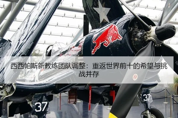 xi-xi-pa-si-xin-jiao-lian-tuan-dui-tiao-zheng-chong-fan-shi-jie-qian-shi-de-xi-wang-yu-tiao-zhan-bing-cun-2-140.jpg