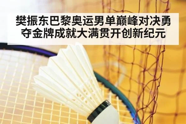 樊振东巴黎奥运男单巅峰对决勇夺金牌成就大满贯开创新纪元